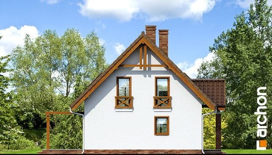 Проект дома Дом в примулах (П) вер.2 - 5 С мансардным этажом дома в Украине