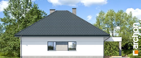 Проєкт будинку Будинок в підсніжниках 3 - Одноповерхові дома в Україні