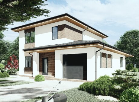 Проєкт будинку DBT 290