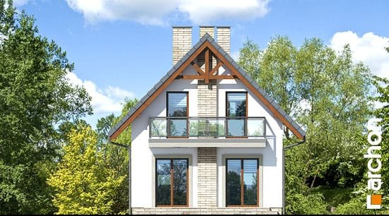Проєкт будинку Будинок в сон-траві (А) - З мансардним поверхом дома в Україні