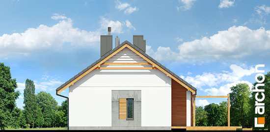 Проєкт будинку Будинок під сверками - Одноповерхові дома в Україні