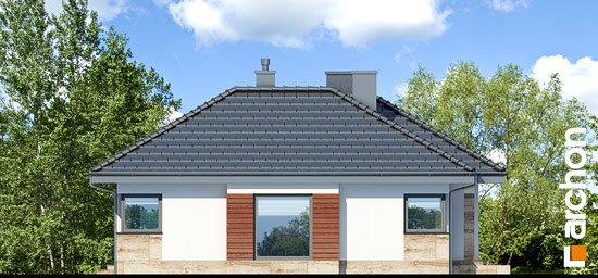 Проект дома Дом в грушках - 5 Одноэтажные дома в Украине