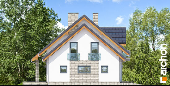 Проєкт будинку Будинок в червоних кущах - З мансардним поверхом дома в Україні