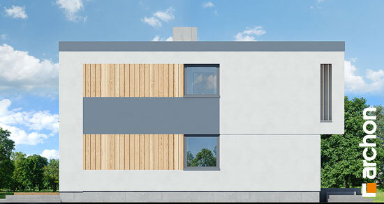 Проект дома Дом в тунбергиях 4 (б) - 5 Двухэтажные дома в Украине