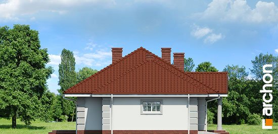 Проект дома Дом под красной рябиной (Г) вер.3 - 5 Одноэтажные дома в Украине