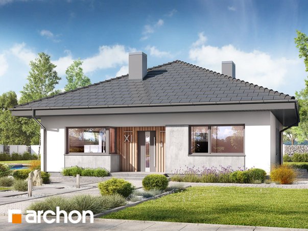 Проєкт будинку Будинок в хакетіях 6 - Одноповерхові дома в Україні