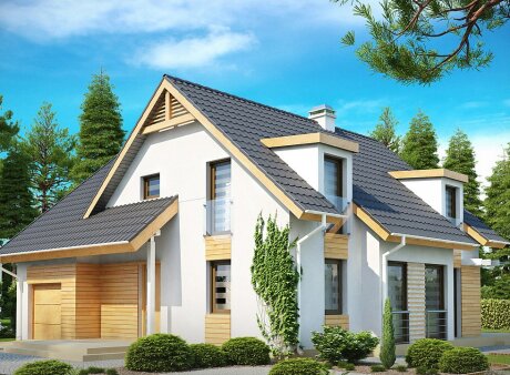 Проєкт будинку U135