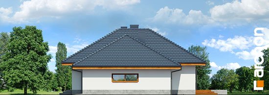 Проект дома Дом в альвах (Г2) - 4 Одноэтажные дома в Украине