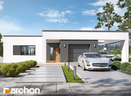 Проєкт будинку Будинок в матуканах