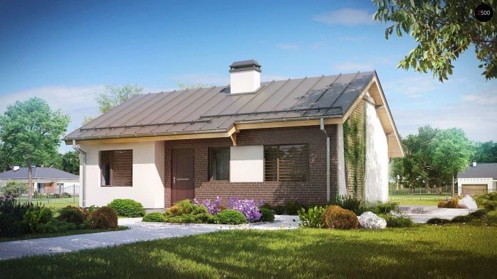 Проєкт будинку U262 - Одноповерхові дома в Україні