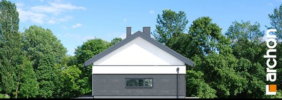 Проект дома Дом в пеперомиях 5 (Г2) - 4 Одноэтажные дома в Украине