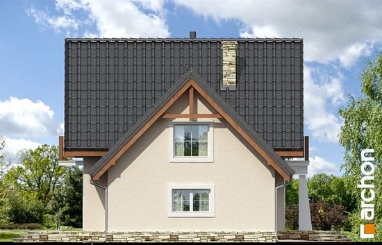 Проєкт будинку Будинок у винограді 2 вер.2 - З мансардним поверхом дома в Україні