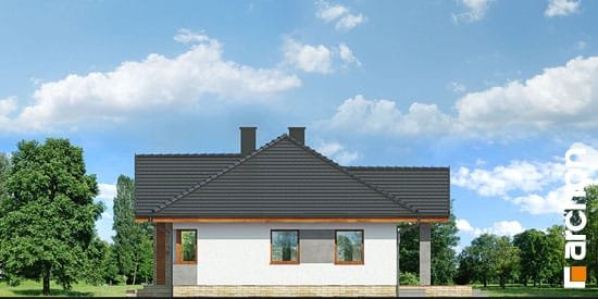 Проект дома Дом в лещиновнике 5 - 4 Одноэтажные дома в Украине