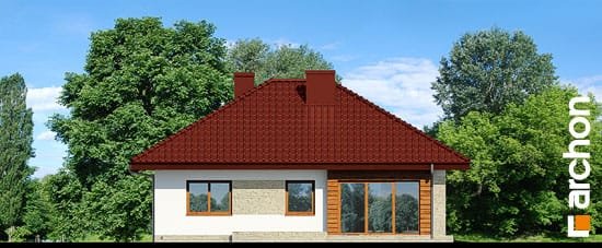 Проєкт будинку Будинок в бузку 2 (Г2) - Одноповерхові дома в Україні