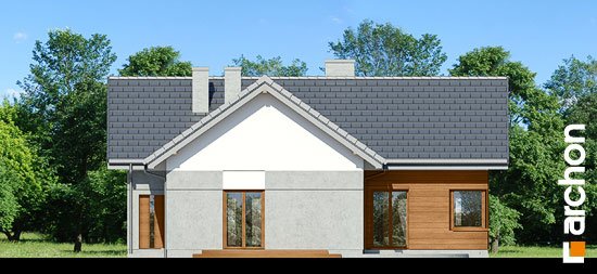 Проєкт будинку Будинок в галах - Одноповерхові дома в Україні