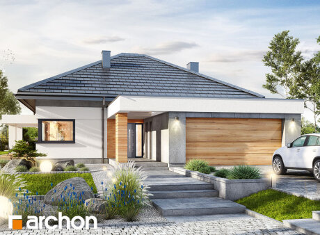 Проєкт будинку Будинок в нігеллах (Г2)