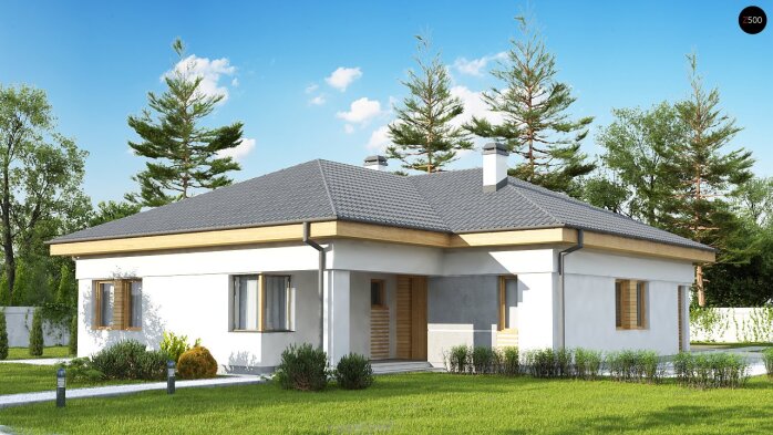 Проєкт будинку U204 bg - Одноповерхові дома в Україні