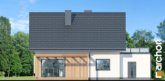 Проєкт будинку Будинок в хлорофітумі 12 (Г) - З мансардним поверхом дома в Україні