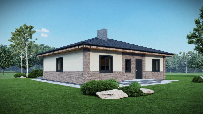 Проект дома DBT 669 - 2 Одноэтажные дома в Украине