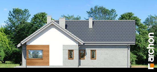 Проєкт будинку Будинок в галах - Одноповерхові дома в Україні