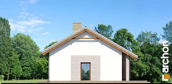 Проект дома Дом в овсянницах - 4 Одноэтажные дома в Украине