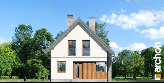 Проєкт будинку Будинок у винограді 7 - З мансардним поверхом дома в Україні