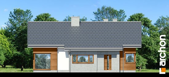 Проєкт будинку Будинок в галах - Одноповерхові дома в Україні