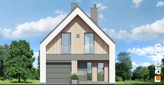 Проєкт будинку Будинок в папаверах - З мансардним поверхом дома в Україні