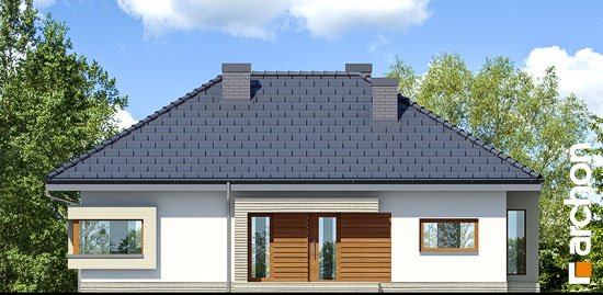 Проект дома Дом под красной рябиной 7 вер.2 - 3 Одноэтажные дома в Украине