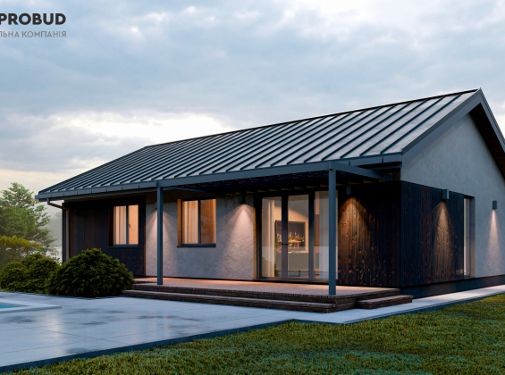 Проєкт будинку DB 53