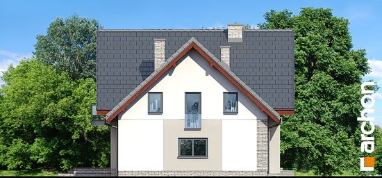 Проект дома Дом в амброзиях - 4 С мансардным этажом дома в Украине