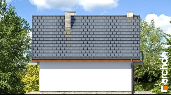 Проєкт будинку Будинок в сон-траві (А) - З мансардним поверхом дома в Україні