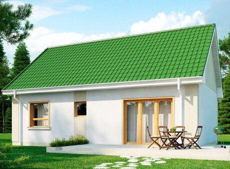 Проєкт будинку U12 S