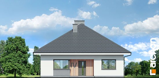 Проект дома Дом в хакетиях 3 - 3 Одноэтажные дома в Украине