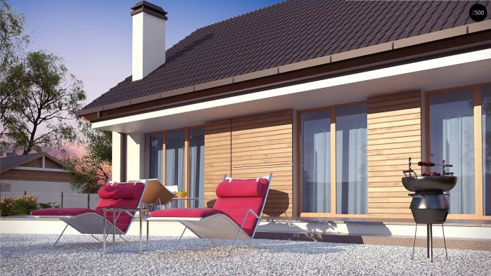 Проєкт будинку U313 - Одноповерхові дома в Україні