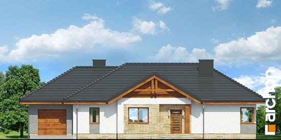 Проект дома Дом в лещиновнике 5 - 3 Одноэтажные дома в Украине