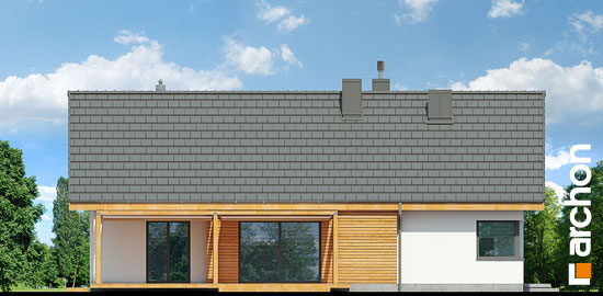 Проєкт будинку Будинок під сверками - Одноповерхові дома в Україні