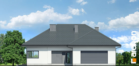 Проект дома Дом в подснежниках 4 (Г2) - 3 Одноэтажные дома в Украине