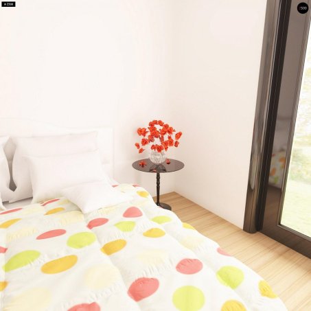 Проєкт будинку U209 - Одноповерхові дома в Україні