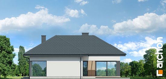 Проєкт будинку Будинок в галантусах (Г2) - Одноповерхові дома в Україні