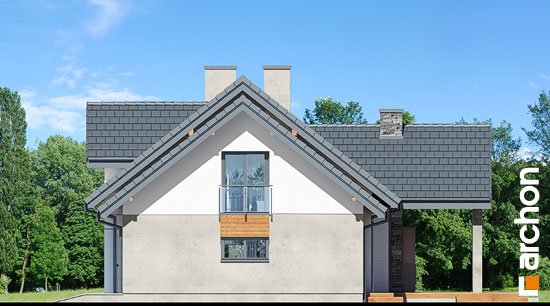 Проєкт будинку Будинок в ветіверії - З мансардним поверхом дома в Україні