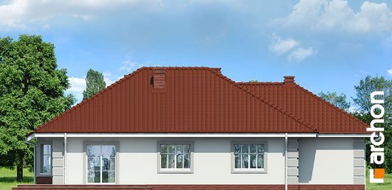 Проект дома Дом под красной рябиной (Г) вер.3 - 6 Одноэтажные дома в Украине