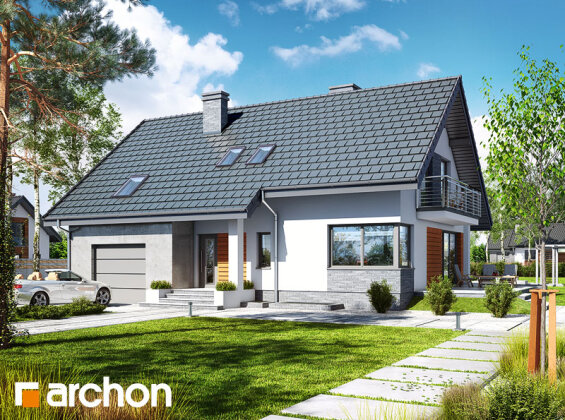 Проєкт будинку Будинок в айдаредах 4 (П)