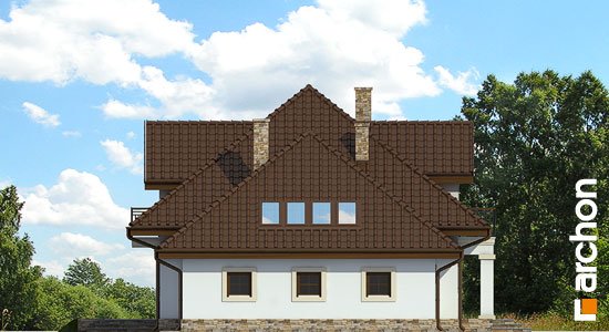 Проект дома Дом в каллах 3 вер.2 - 5 С мансардным этажом дома в Украине