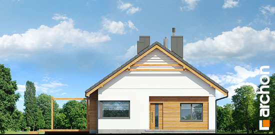 Проєкт будинку Будинок під сверками - Одноповерхові дома в Україні