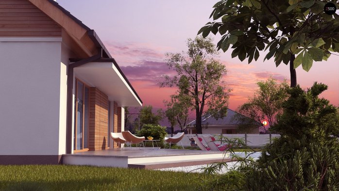 Проєкт будинку U313 - Одноповерхові дома в Україні