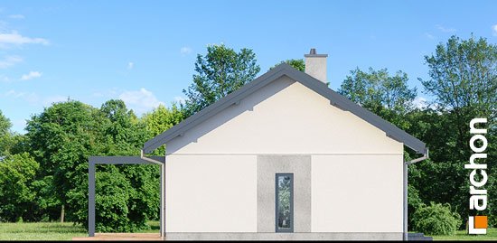 Проєкт будинку Будинок у вівсянниці 4 - Одноповерхові дома в Україні