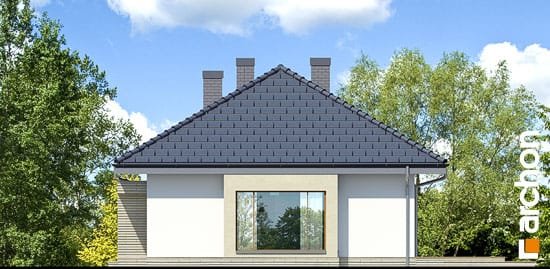 Проект дома Дом под красной рябиной 7 вер.2 - 4 Одноэтажные дома в Украине