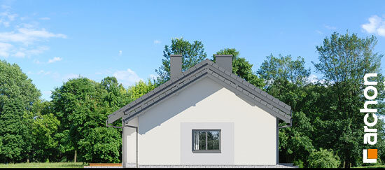 Проект дома Дом в овсянницах (Г) - 4 Одноэтажные дома в Украине