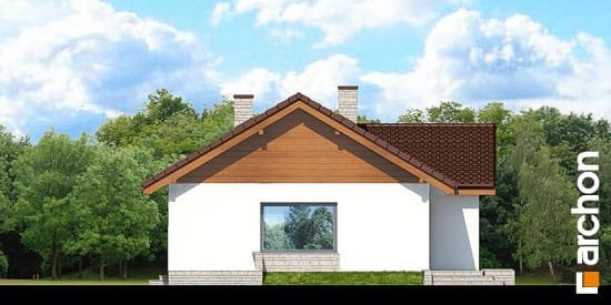 Проект дома Дом в плодолистике - 6 Одноэтажные дома в Украине